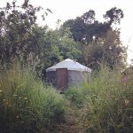 Yurt in the Healing Garden