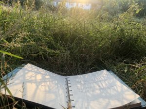 notebook in the grass